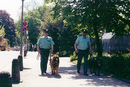 K9 Unit