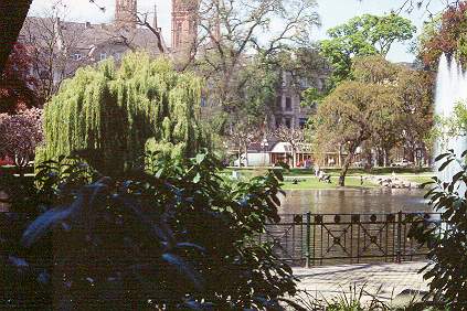 Duck pond