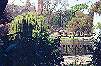 Duckpond and other sights