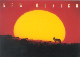 Sunset over the desert