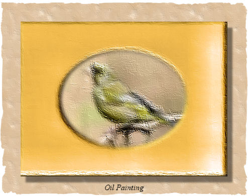 Bird oil painting