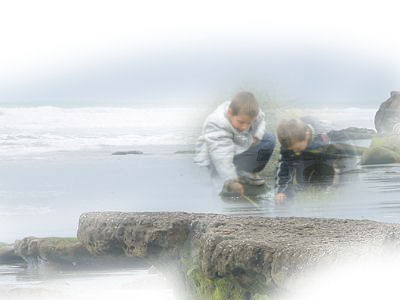 Boys on the rocks picture