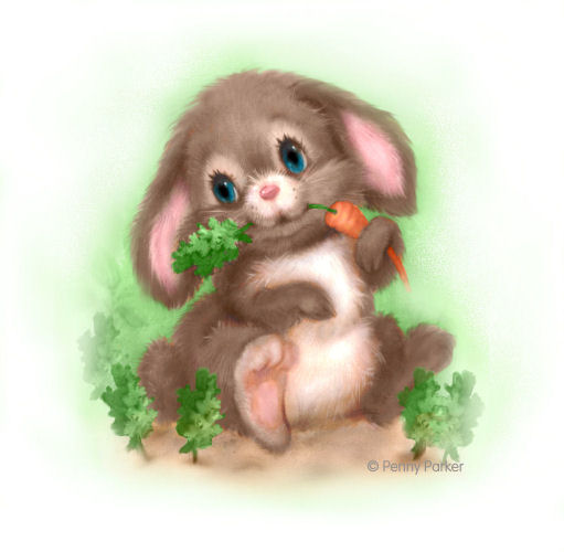 Bunny Top