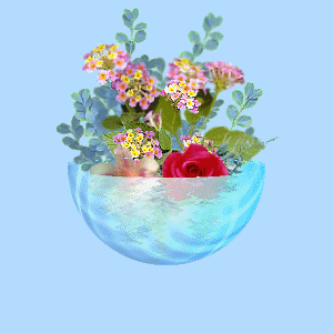 Flowers in a bowl image