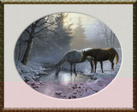 Image of horses