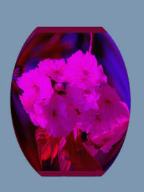 Image of a pink vase