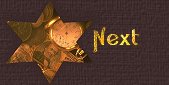 shinningstarnext.jpg
