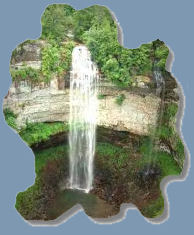 Image of Falls Creek waterfall