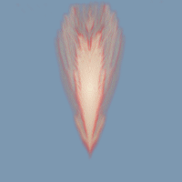Image of a tan and red feather