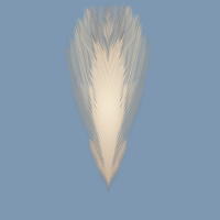 Image of a tan feather