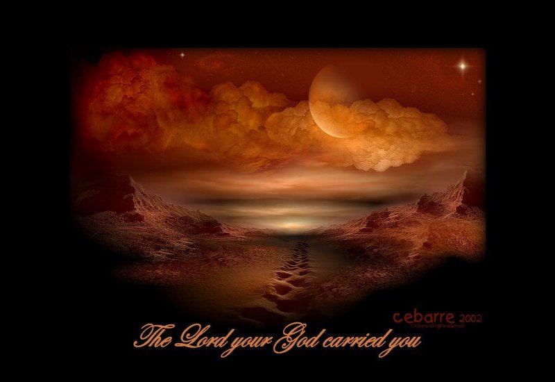 The Way Top by cebarre