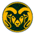Bands at Colorado State