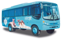 divulga��o da encarro�adora