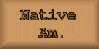 Native American