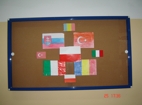 Flags on the board at the school-by Polish Students