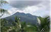 marinduque_mount_malindig1.jpg (16423 bytes)