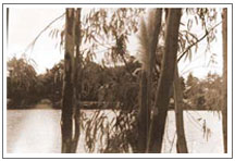 "La cantera "