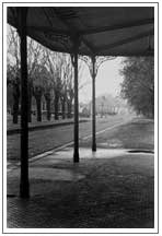 "Antigua estaci�n Navarro", Provincia de Buenos Aires.