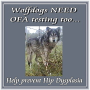 Use image to link to our OFA information