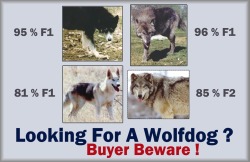 Use this image to link to our Buyer Beware Page