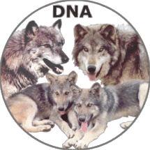 Use this image to link to our DNA information