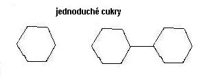jednoduché cukry