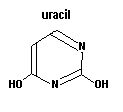 uracil