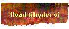 Hvad tilbyder vi