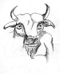 Minotaur