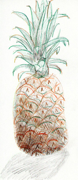 Pineapple