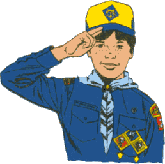 Cub Scout Salute