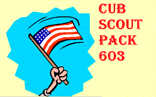 Pack 603 flag image