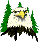 eagle head logo