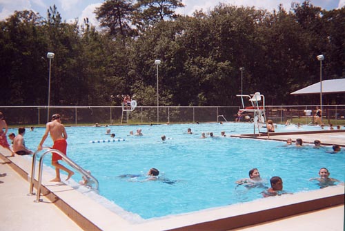 pool.jpg (45125 bytes)