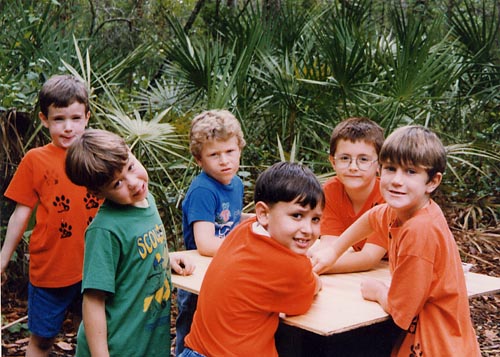 tigers.jpg (59536 bytes)