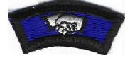 Features a white Scout Handshake on a blue background.&nbsp; Worn by Scouts and Leaders completing 5 of 15 requirements listed in the application for the TAC Award.