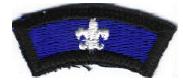 Features the white World Scout Crest on a blue background.&nbsp; Worn by Scouts and Leaders participating in at least one overnight activity with Scouts from another nation.