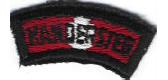 Represents the colors of the country where the camp is located, with the camp or country name in black.&nbsp; Worn by Scouts and Scouters who have attended camp.