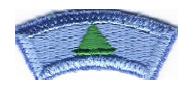 Features a model green sailboat on a blue background.&nbsp; Worn by Cub Scouts and Leaders participating in a Cub Scout Regatta.