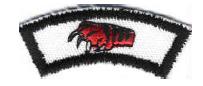 Features tiger paw on a white background.&nbsp; Worn by Scouts who graduate from Tiger Cubs, BSA.