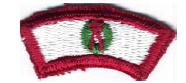 Features a green wreath on a white background. Worn by Cub Scouts and Leaders participating in a Christmas season service project or acticity.