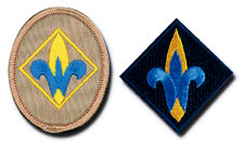 About Webelos