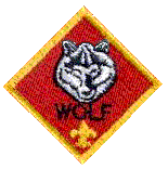 About Wolf Cubs