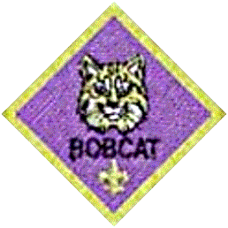 BOBCAT PAGE