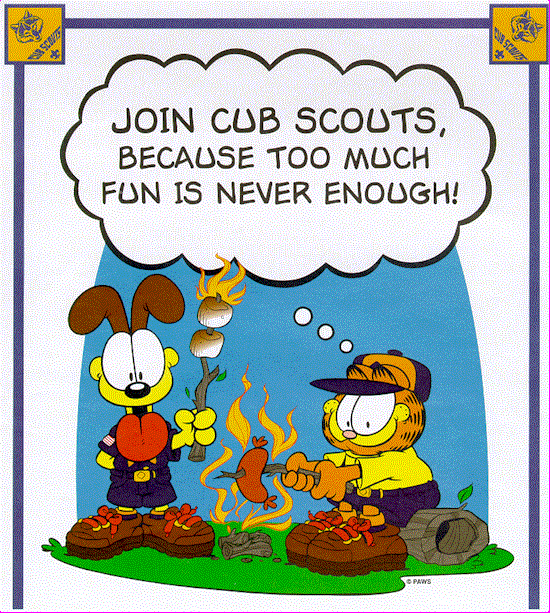 Join The Cub Scouts