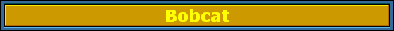 Bobcat
