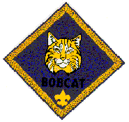 This is the first badge you must earn!