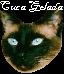 Apresenta��o