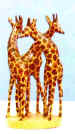 3 Giraffes Circle