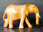 Elephant 6
